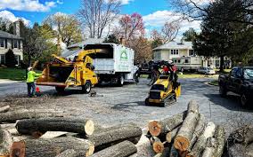 Seasonal Cleanup in Harbor Bluffs, FL